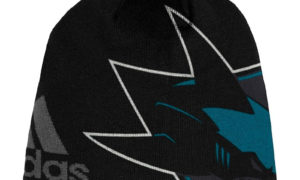 ADIDAS FW 18 Jacqurad SR Beanie