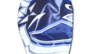 NHL Vancouver Canucks Ice Scraper (Vancouver Canucks)